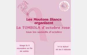 🩷 TOMBOLA OCTOBRE ROSE 🩷